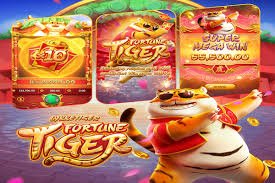 Poin reward togelbig untuk dewasa